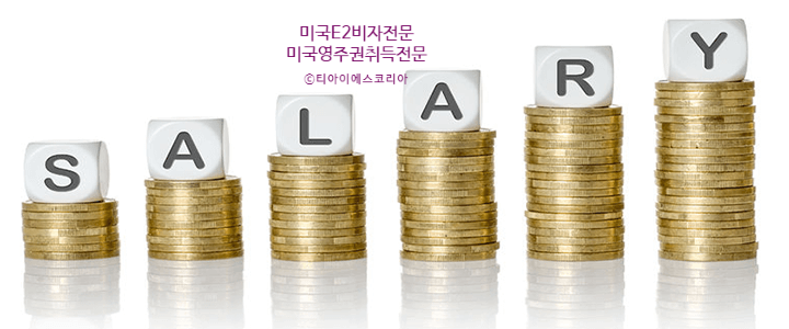 티아이에스주 이미지