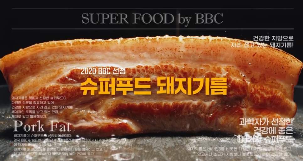 돼지의재발견 이미지