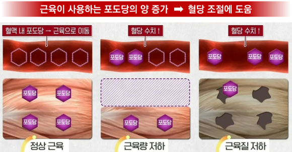 으뜸경락 이미지