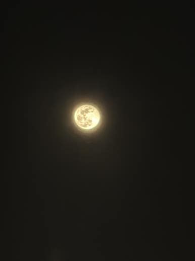 밤새 우리 이미지
