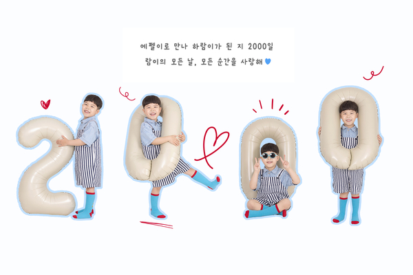데이스튜디오 이미지