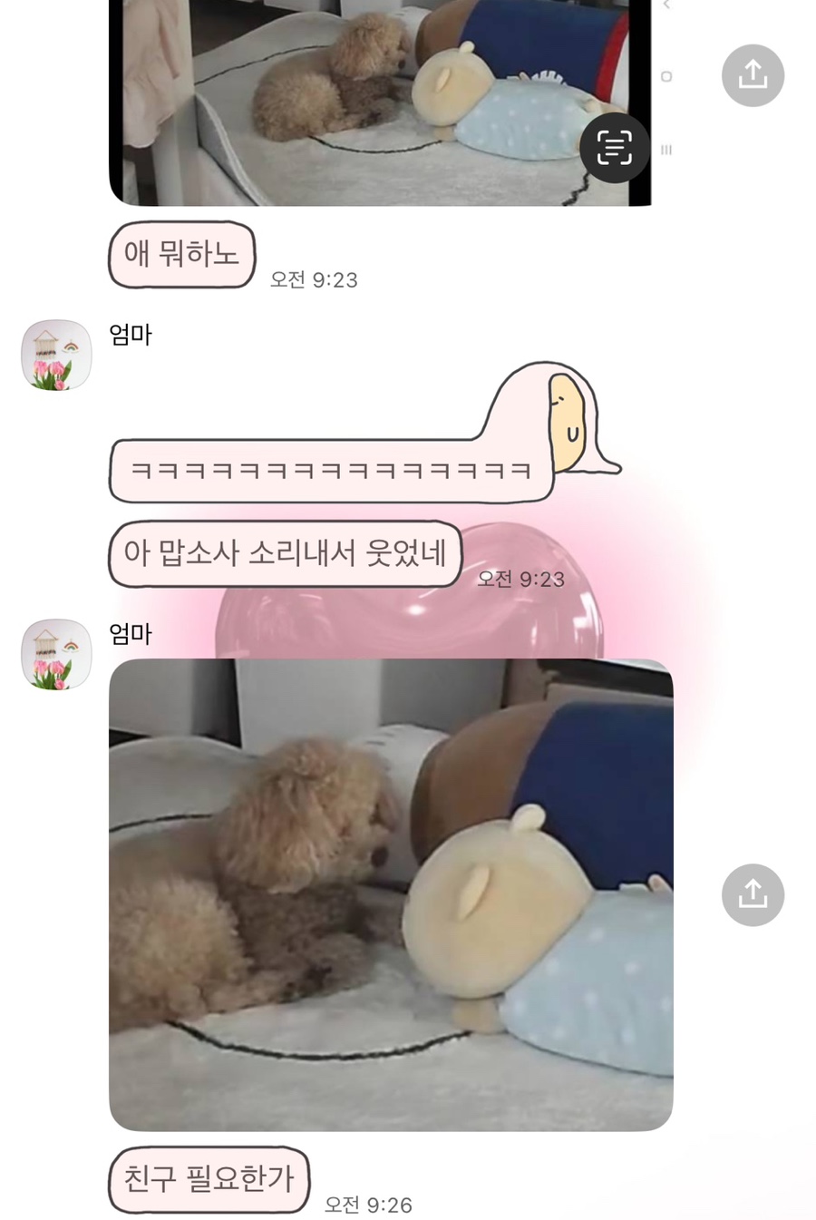 푸댱 이미지
