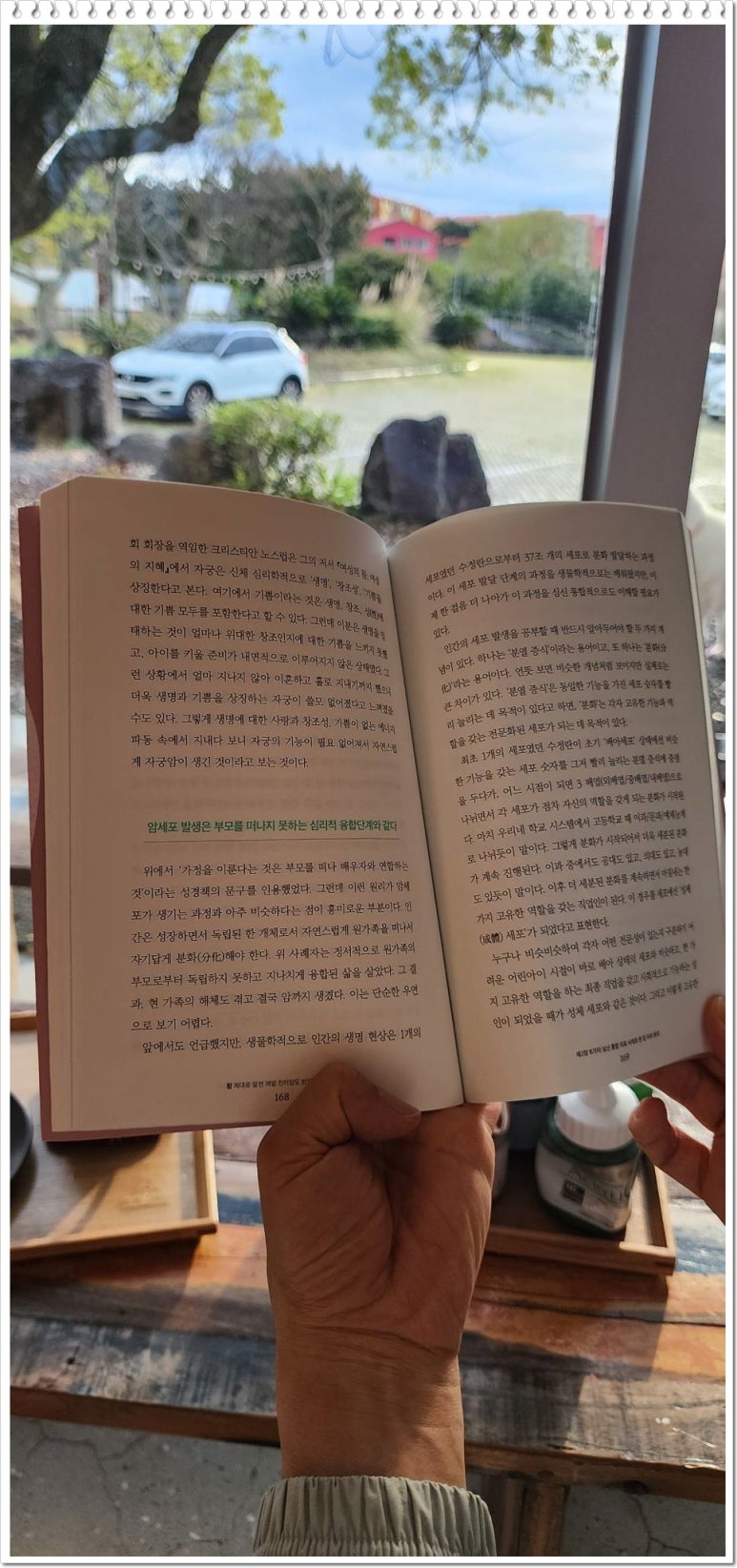 아미서가 이미지