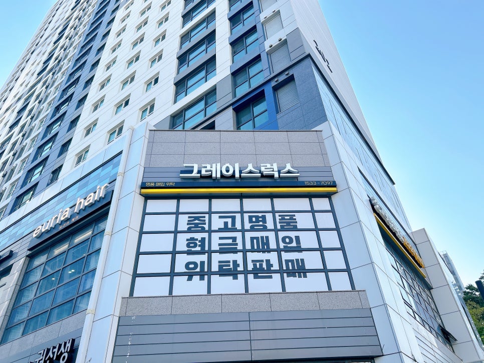 럭스그레이스 이미지