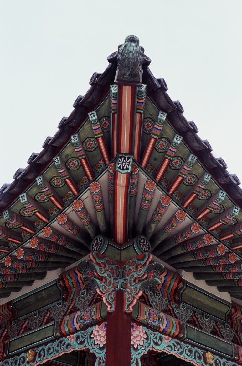 일일사 이미지