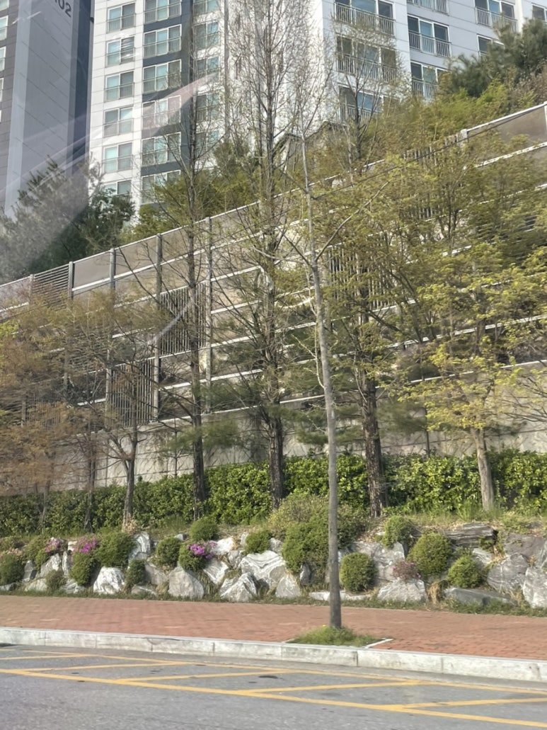 장충동참족발보쌈 이미지