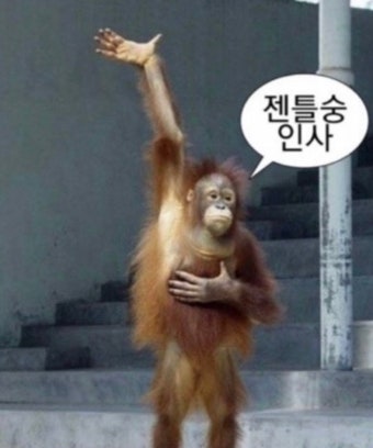 소풍김밥 이미지