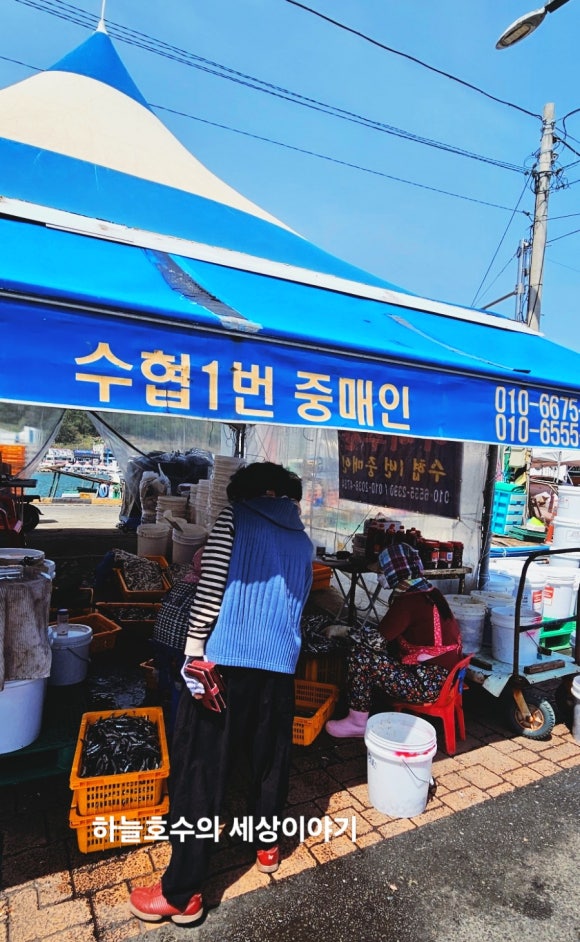 수협1번중매인 이미지