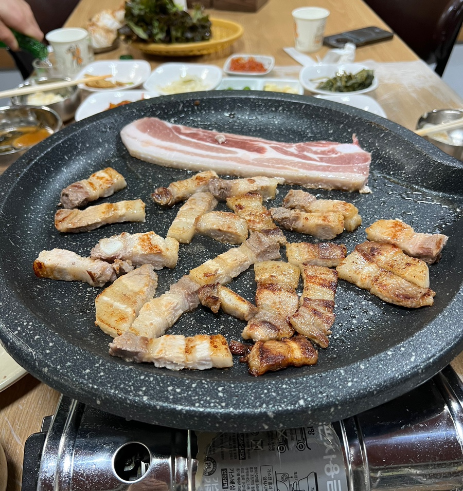 태양장 이미지