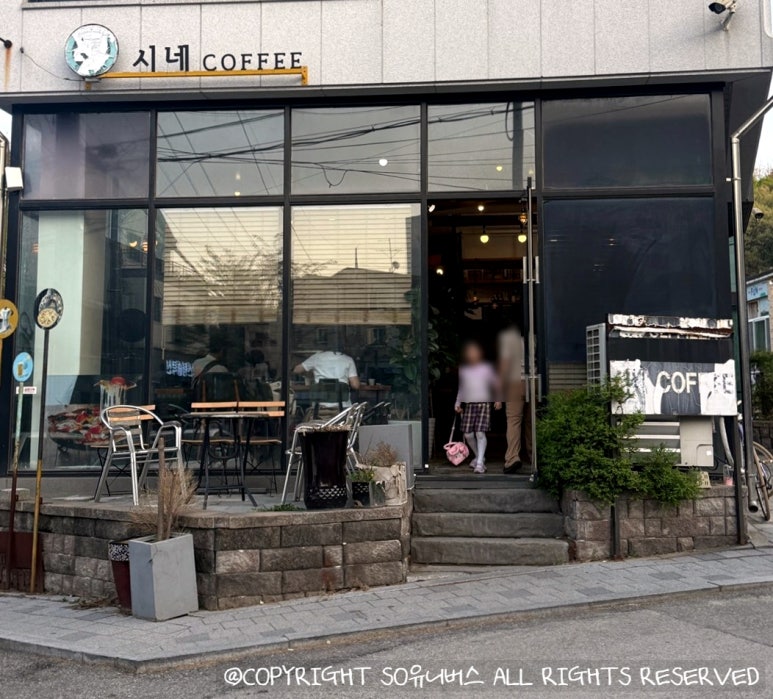 엘시네 이미지