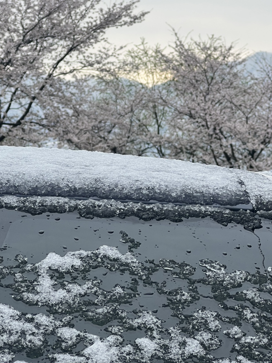 순대실록 성수역점 이미지
