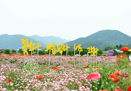 꽃길플랜테리어 이미지