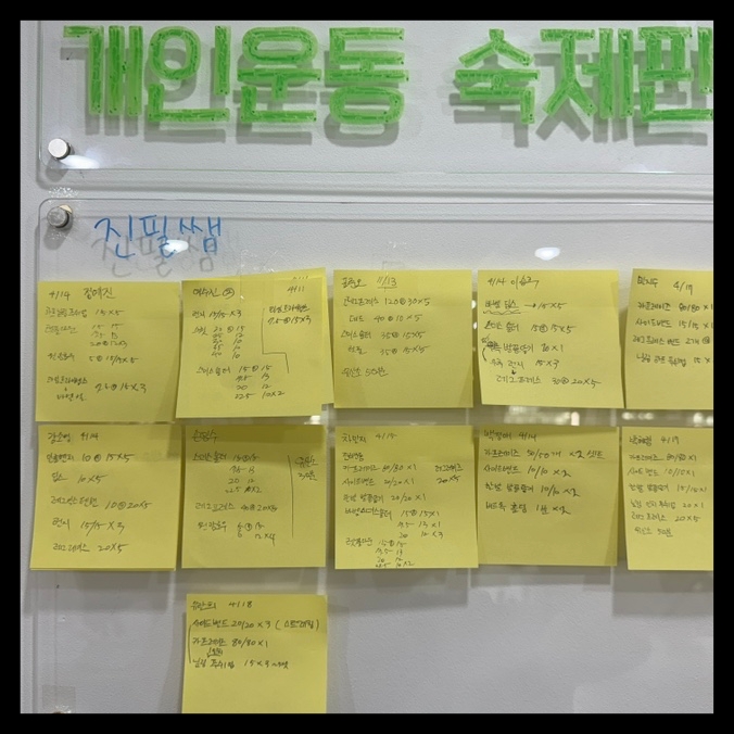 다움PT 이미지