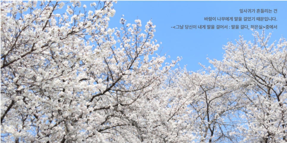 화학안전연구소 이미지