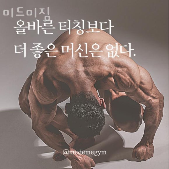 미드미짐 이미지
