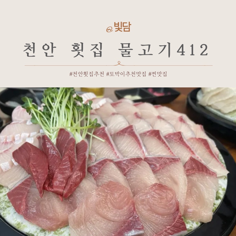 물고기412 이미지