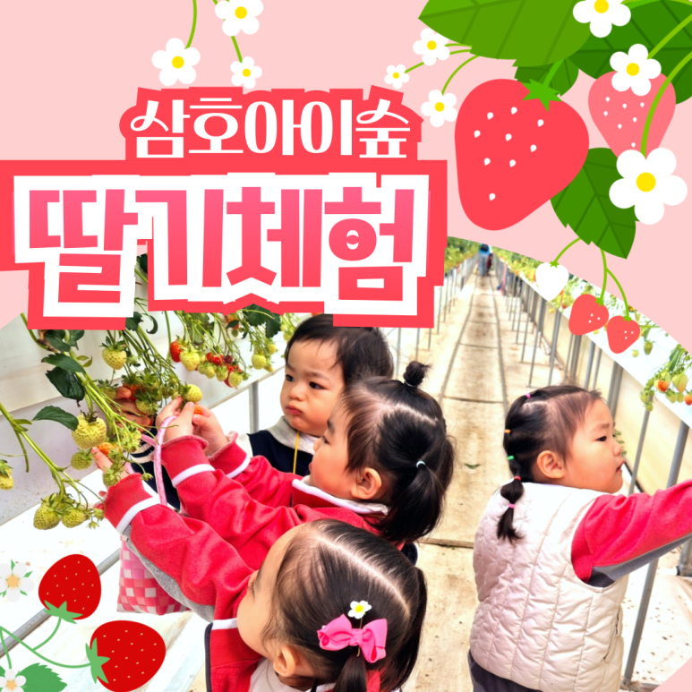 공립삼호아이숲어린이집 이미지
