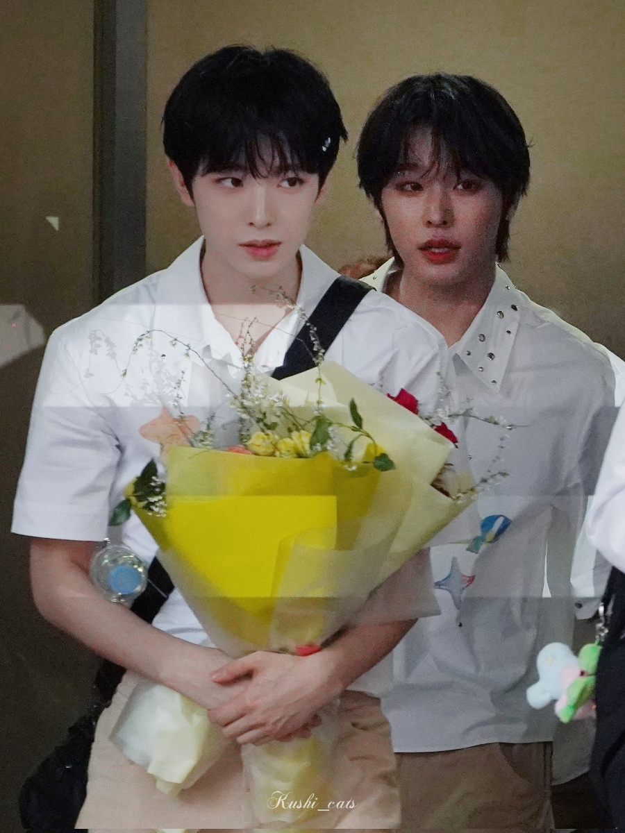 팝팝 이미지