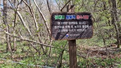 야생화마을펜션민박 이미지