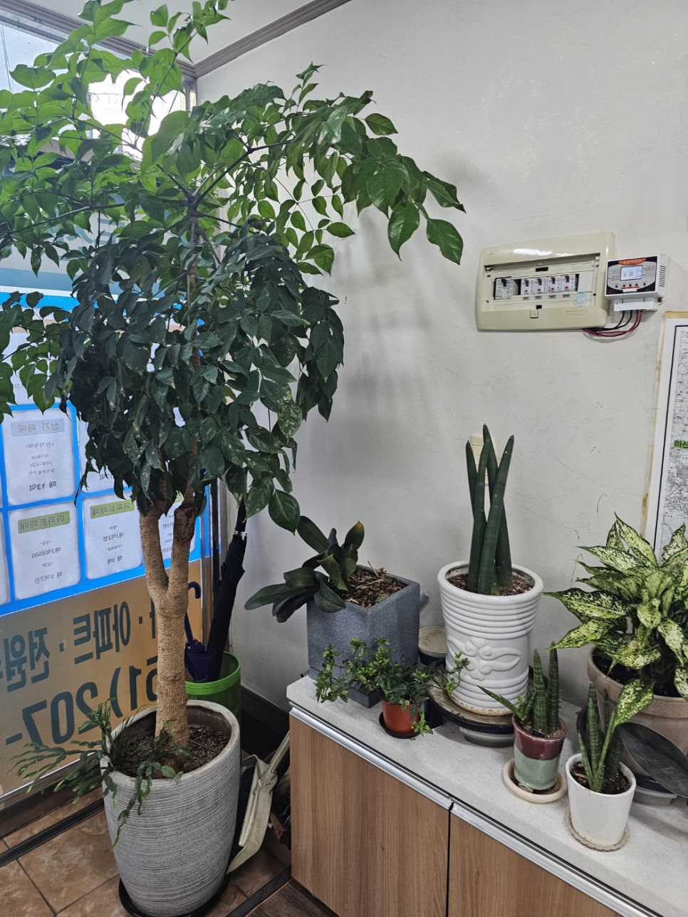 유신부동산 이미지