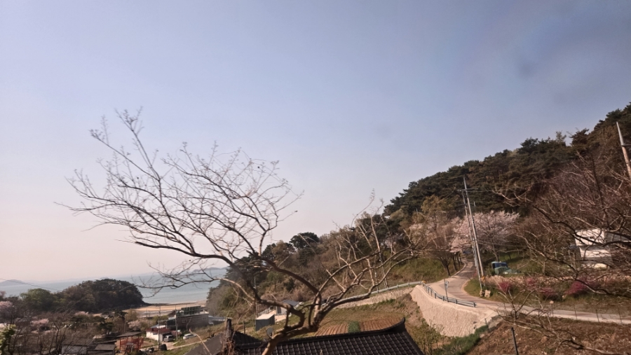 칼국수해와달 이미지