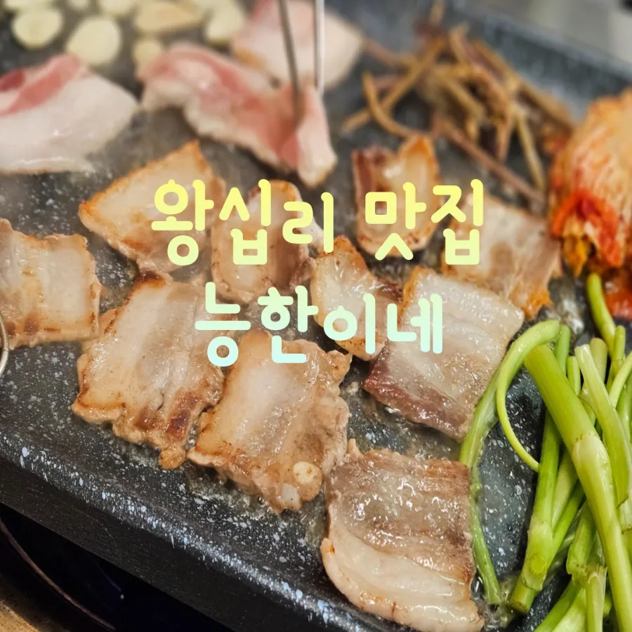 능한이네 이미지