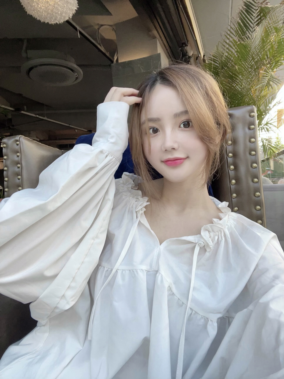 쎄라 이미지