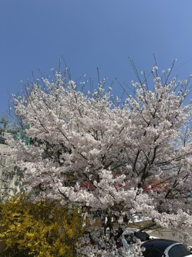 삼동소바화성융건릉점 이미지