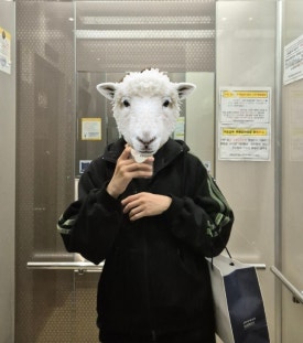 네오테니스 이미지