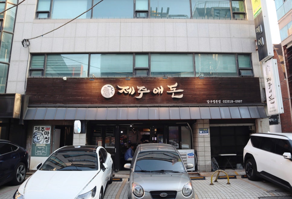 제주애돈 이미지