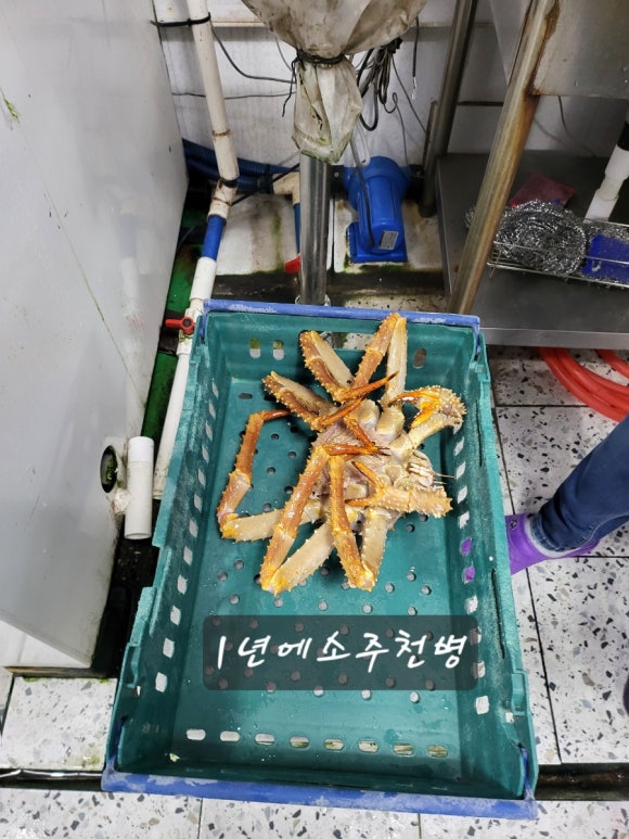 하이벳수산 이미지