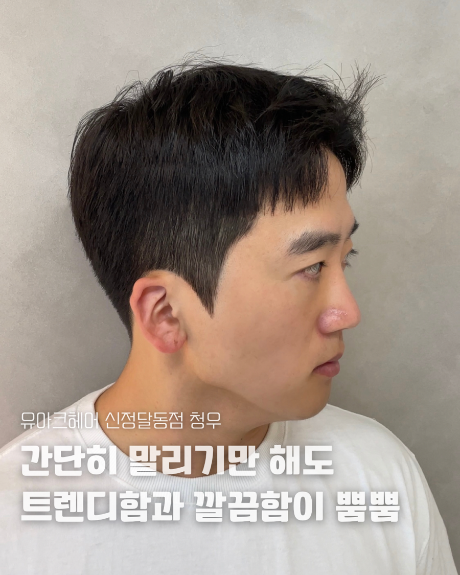 신정수석 이미지