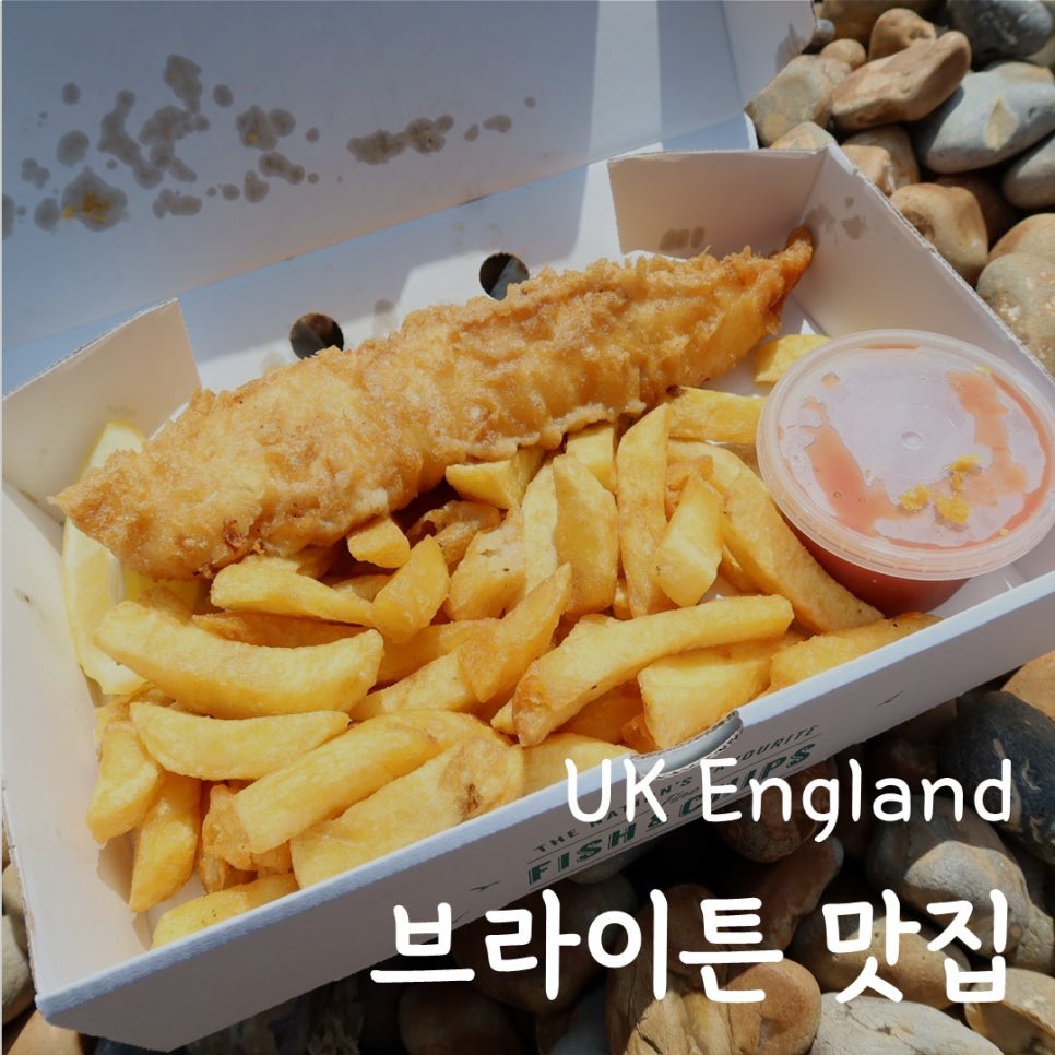 피시나인 이미지