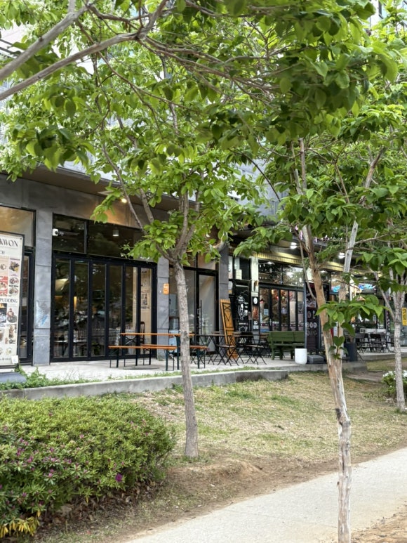 순결포도 이미지