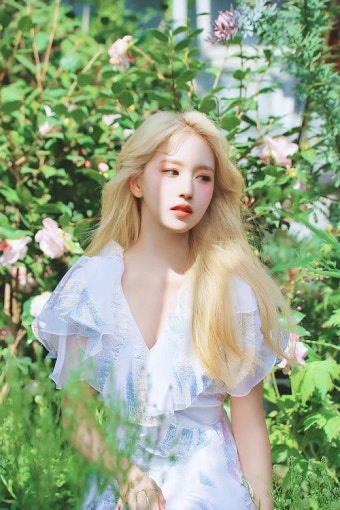 미나헤어 이미지