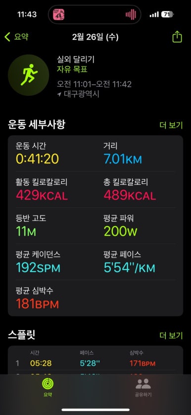 비벨라핏 이미지