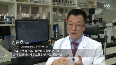 이엠티비 이미지