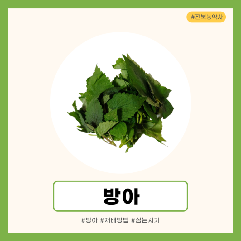 한국농약사 이미지