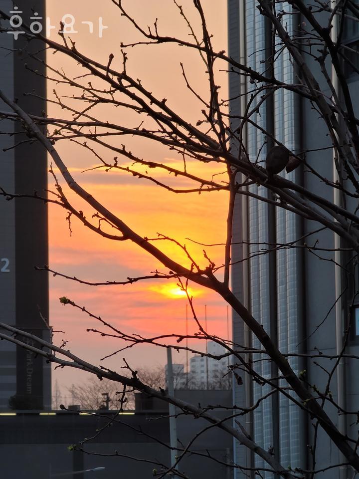 후하요가 후기 사진