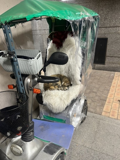 하놀한올 이미지