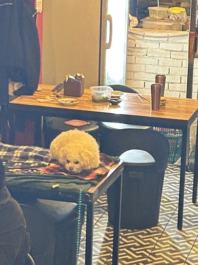 로또피씨 이미지