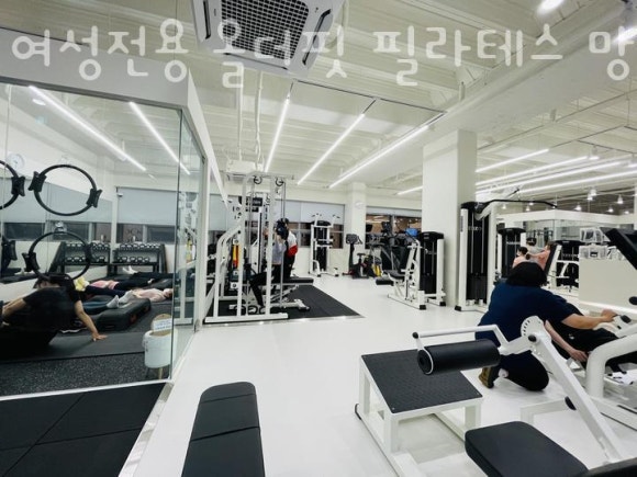 올더핏 이미지