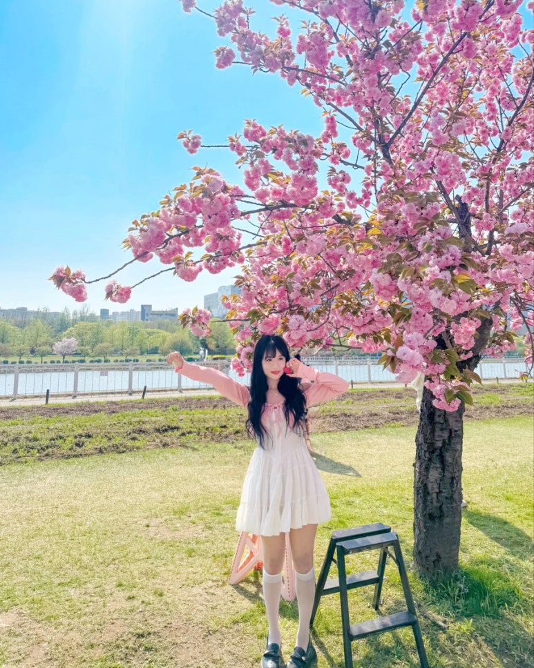 샬롬샵 이미지