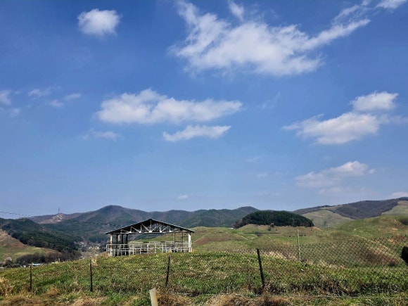 서산한우 이미지
