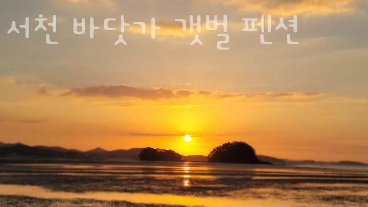 서천바닷가갯벌펜션 이미지