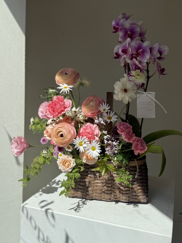 발레드무이 이미지