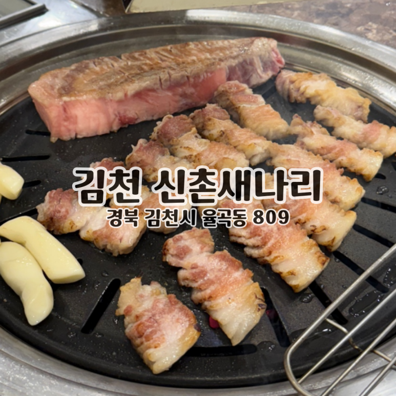 신촌새나리 이미지