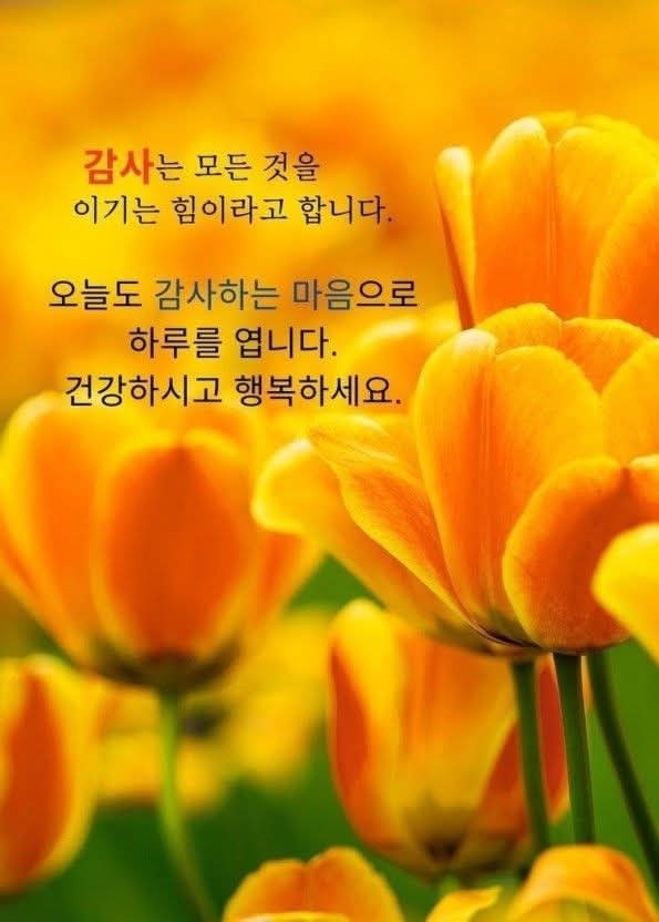 새벽클린 이미지