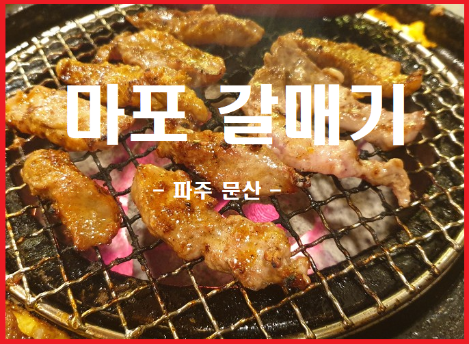 마포갈매기 이미지