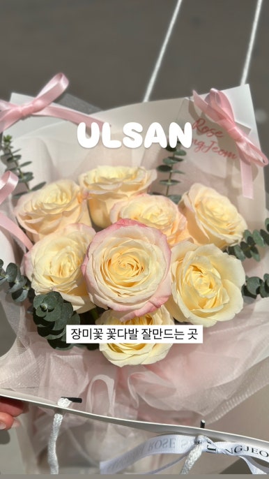 장미상점 이미지